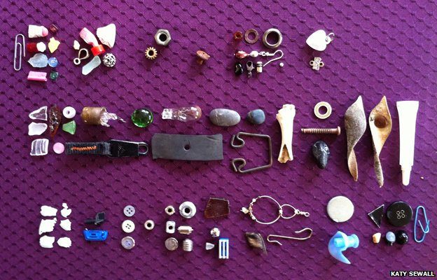 Ajaib, kisah seorang gadis yang mendapat kado dari burung