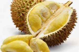 Durian-durian unik dari tanah Borneo
