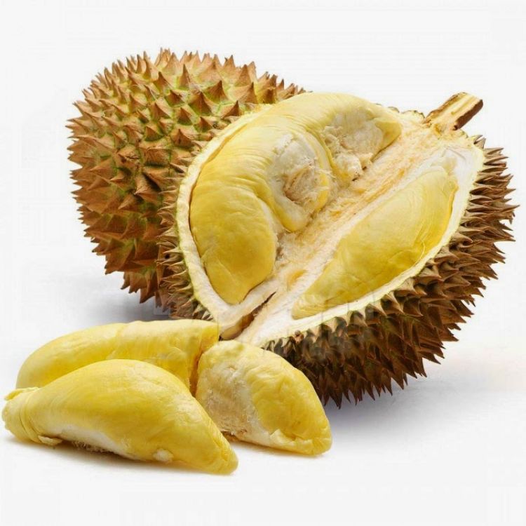 Durian Durian Unik Dari Tanah Borneo