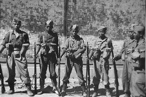 Kisah gerilyawan kemerdekaan dikawal harimau saat hindari kompeni