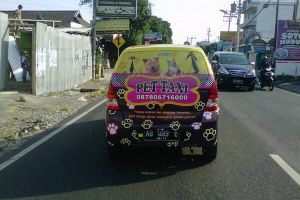 Ada-ada saja, bisnis taksi binatang ini laris manis