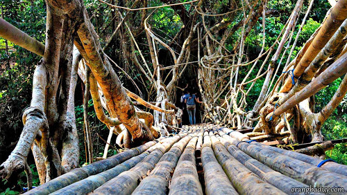 Keren, jembatan Suku Baduy terbuat dari akar tanpa alat perekat