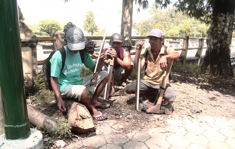 Risiko jadi blandong, jatuh dari pohon hingga kesetrum listrik