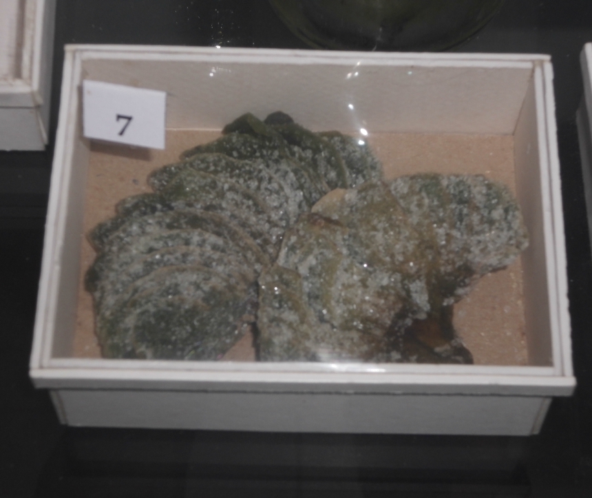 Camilan-camilan nan yahut ini sekarang sudah langka