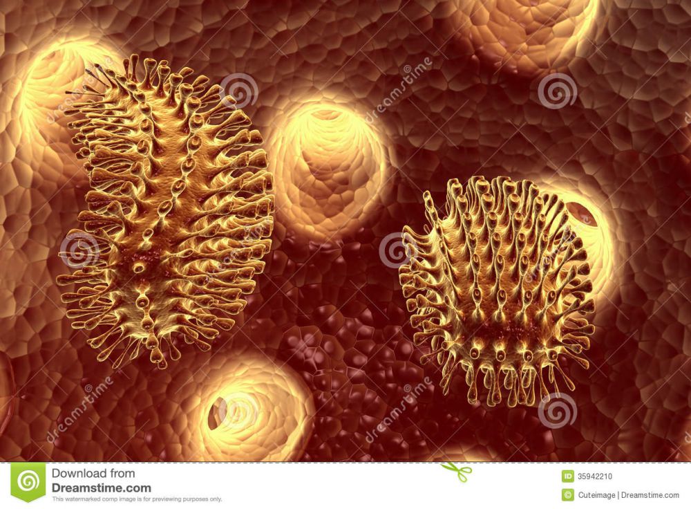 8 Jenis virus berbahaya yang harus diwaspadai manusia 8 Jenis virus berbahaya yang harus diwaspadai manusia