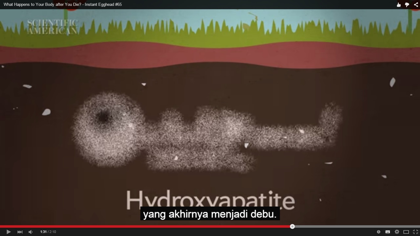 VIDEO: Hal-hal yang terjadi pada jasadmu di dalam tanah usai meninggal