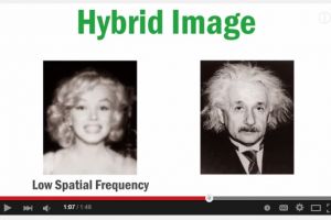VIDEO: Cek kesehatan matamu, ini gambar Marilyn Monroe atau Einstein?