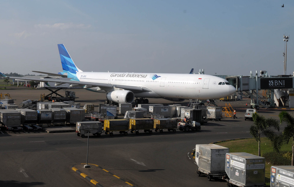 Hanya 23% penyusup pesawat selamat, lainnya tewas jatuh hingga membeku