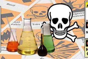 Ingin sehat? Pastikan makananmu bebas dari zat kimia berbahaya ini