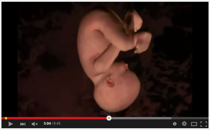 VIDEO: Ini yang terjadi ketika kamu berada dalam perut ibumu