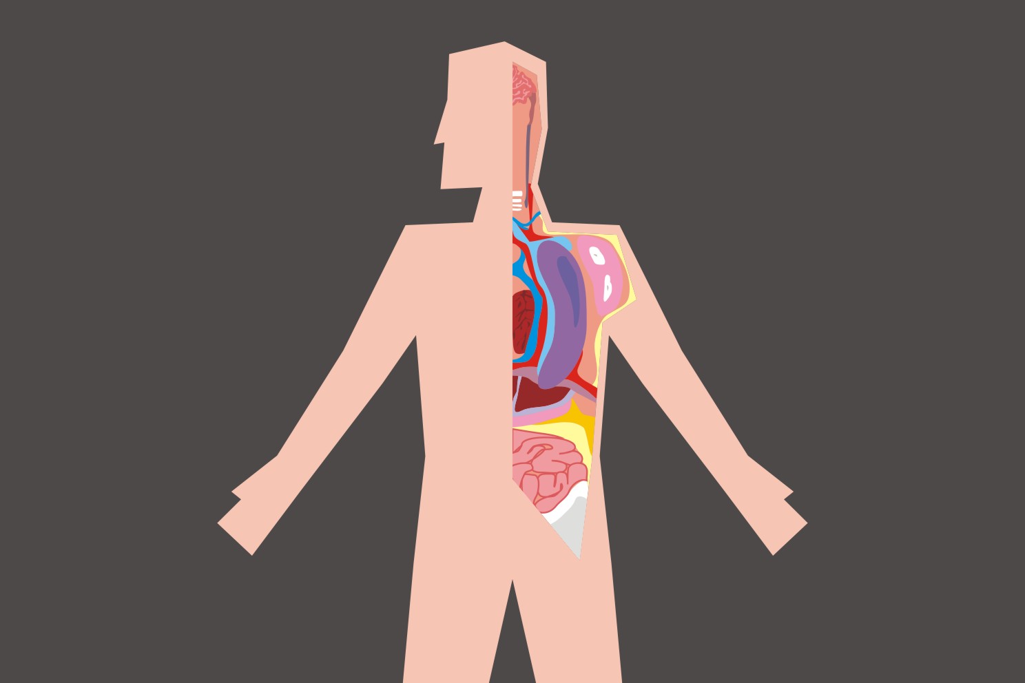 VIDEO: Ini yang terjadi di dalam perut kamu setelah makan mi instan!