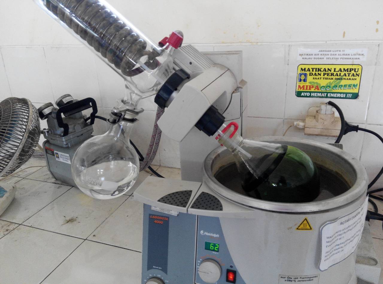 Mahasiswa UII ciptakan obat diabetes dari daun kemangi