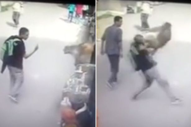 VIDEO: Pemuda dihajar monyet karena acungkan jari tengah