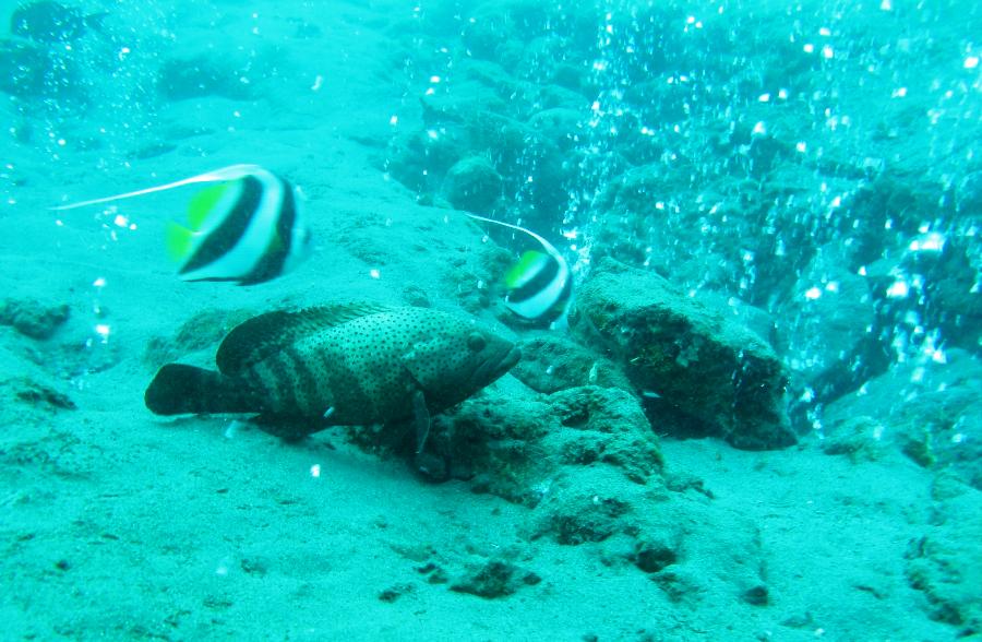 Semburan gas & uap air bawah laut di Aceh bikin penasaran peneliti