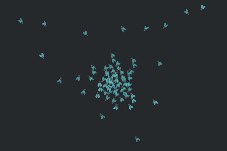 Kamu pernah coba nepuk lalat tapi nggak pernah kena? Ini sebabnya