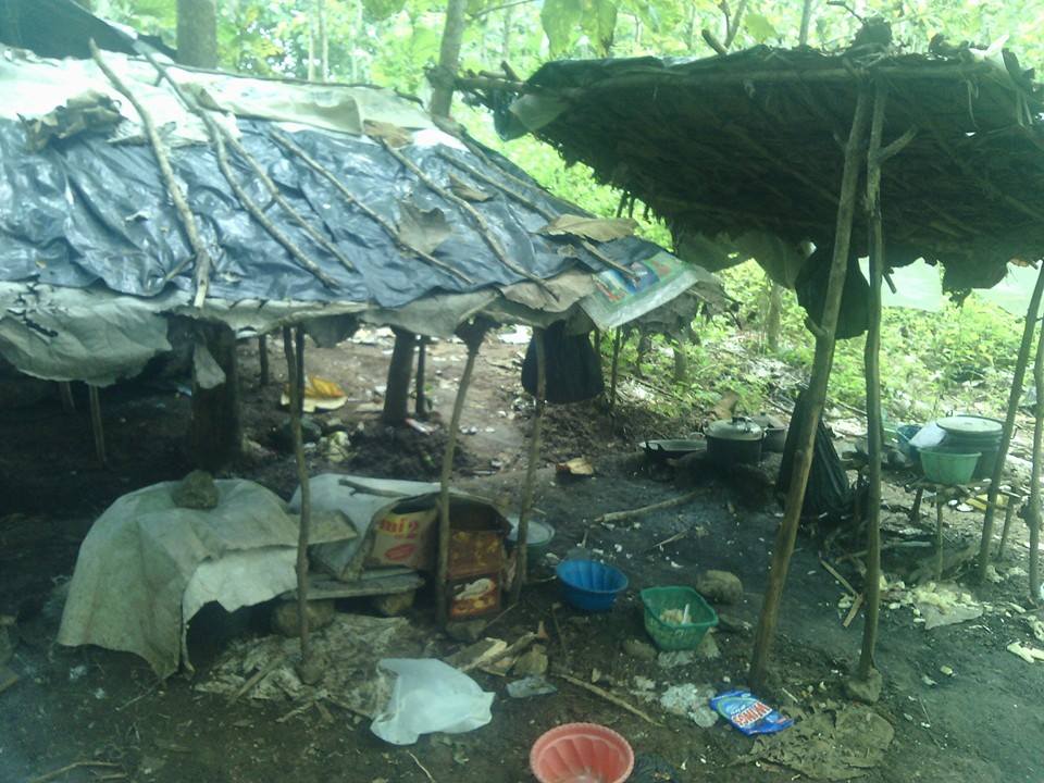 Ibu ini tinggal di hutan Blitar berteman hewan liar