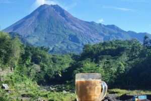 Suka motret makanan? Ini nih tips yang perlu kamu perhatikan!