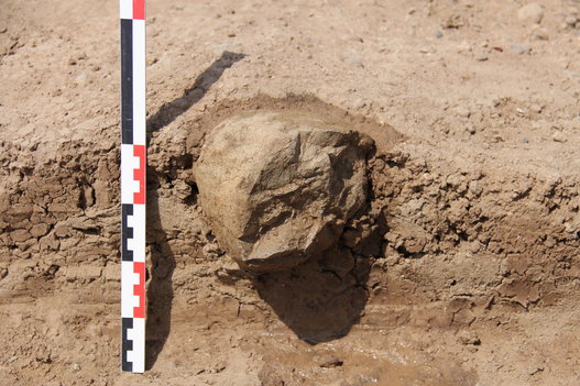 Perkakas batu tertua di dunia berumur 3,3 juta tahun 