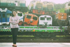 Keranjingan naik kereta api, Rosa koleksi ratusan tiket lawas