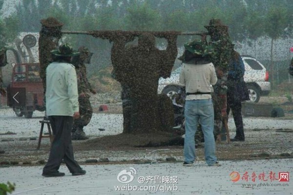 Manusia berselimut lebah