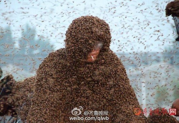 Manusia berselimut lebah