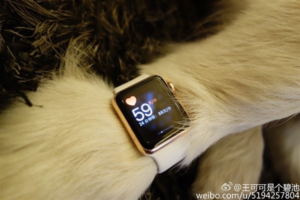 Anjing milik anak orang kaya di China pakai Apple Watch, gile bener!