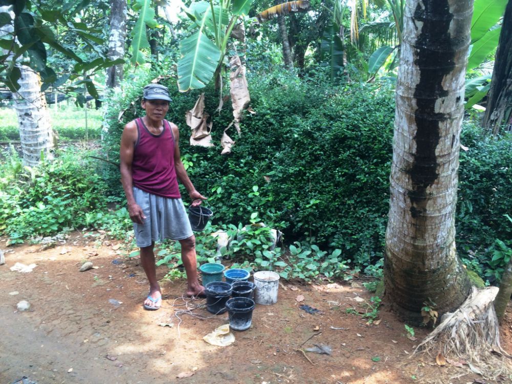 Kisah penderes nira, setiap hari 106 kali panjat pohon kelapa Kisah penderes nira, setiap hari 106 kali panjat pohon kelapa