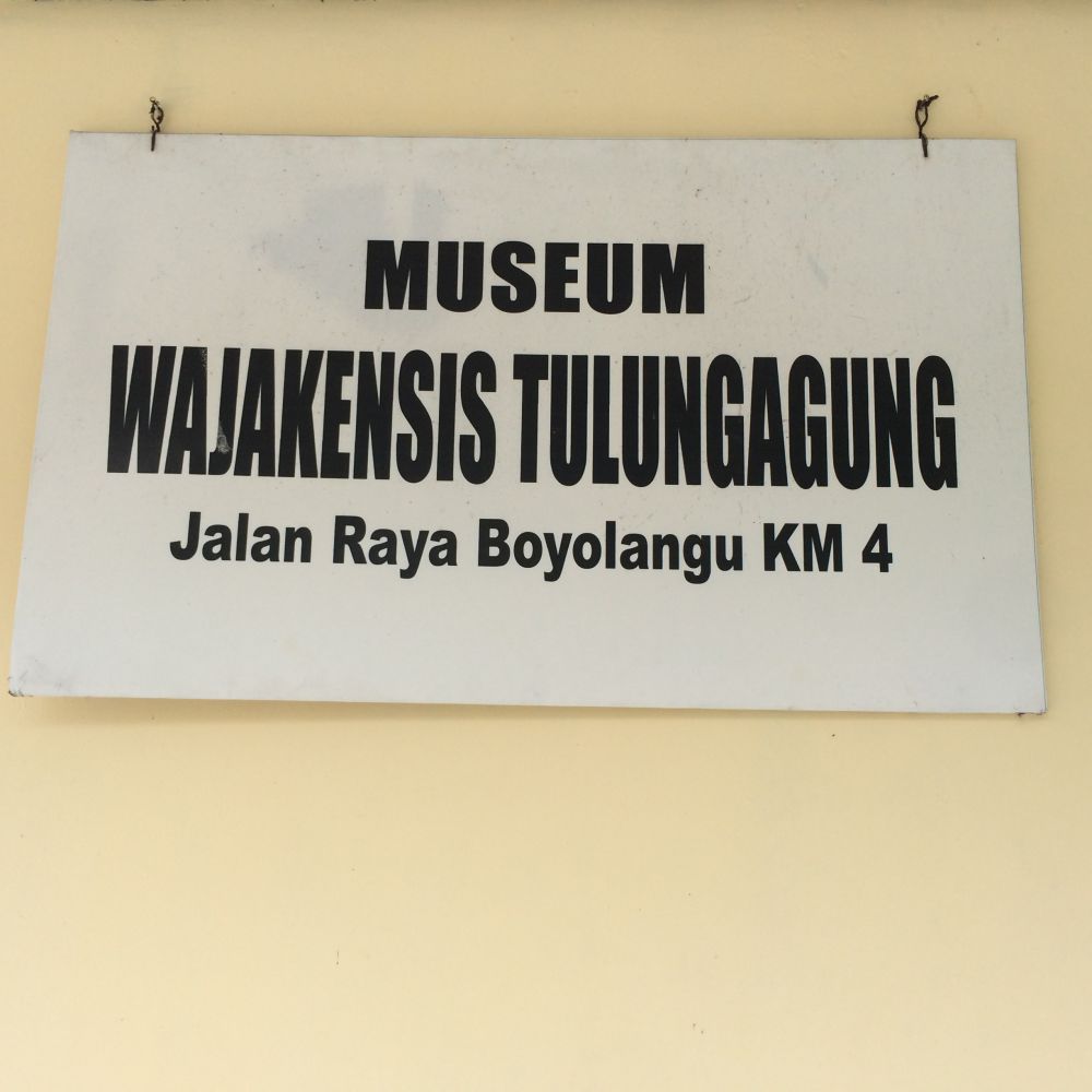 Menguak jejak manusia purba pertama di Indonesia, Homo Wajakensis
