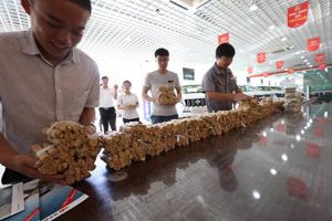 Membayar mobil baru dengan uang koin seberat 4 ton!