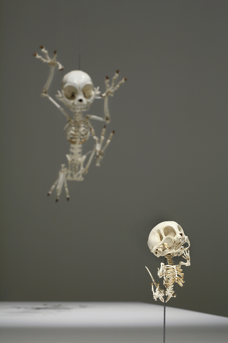 Seperti apa jadinya tokoh kartun nan lucu itu tinggal tulang belulang?