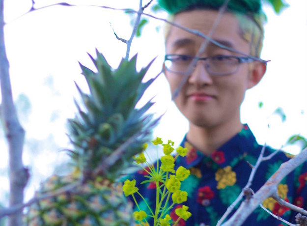 Ini nanas apa rambut? Ini nanas apa rambut?