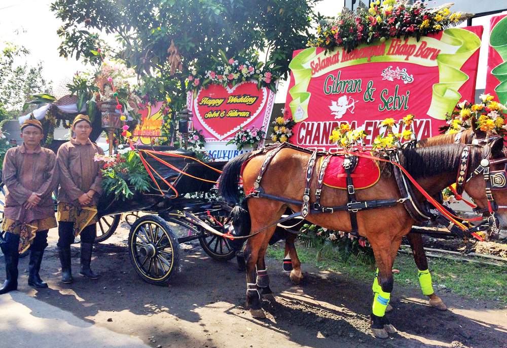 Agustin & Srikandi, kuda yang mengantar mempelai wanita Selvi Ananda