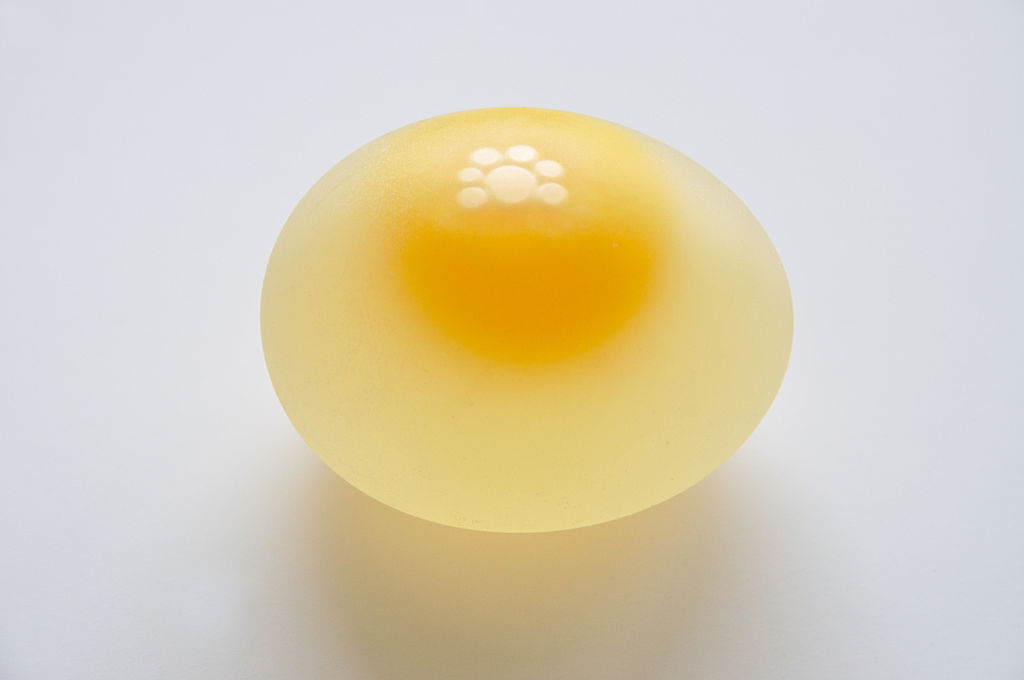 Telur ayam ini tak memiliki cangkang, unik dan ajaib!