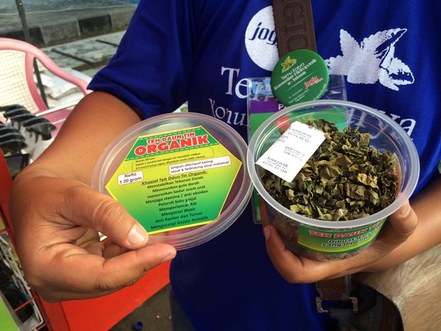 Rasakan khasiat teh dari daun tin yang manis meski tanpa gula