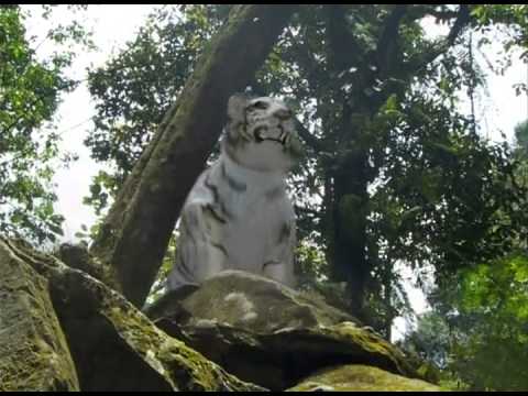 Adegan-adegan tak masuk akal yang hanya ada di TV Indonesia