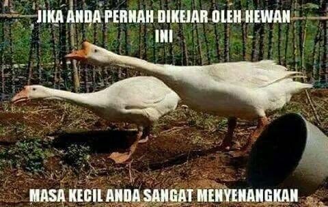 Berani jamin, kamu pernah melakukan 1 dari 26 gambar ini! Atau semua? Berani jamin, kamu pernah melakukan 1 dari 26 gambar ini! Atau semua?