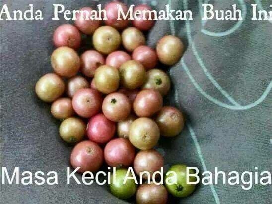 Berani jamin, kamu pernah melakukan 1 dari 26 gambar ini! Atau semua? Berani jamin, kamu pernah melakukan 1 dari 26 gambar ini! Atau semua?