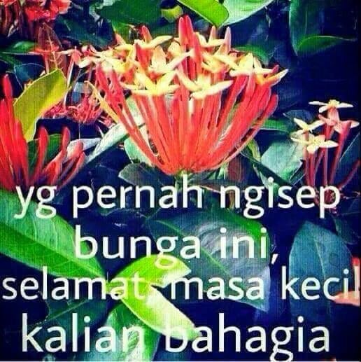 Berani jamin, kamu pernah melakukan 1 dari 26 gambar ini! Atau semua? Berani jamin, kamu pernah melakukan 1 dari 26 gambar ini! Atau semua?
