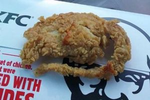 Sekilas daging KFC ini memang mirip tikus, tapi tes DNA buktikan ayam!