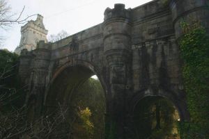 600 Anjing sudah terjun dari jembatan ini, misteri belum terbongkar!