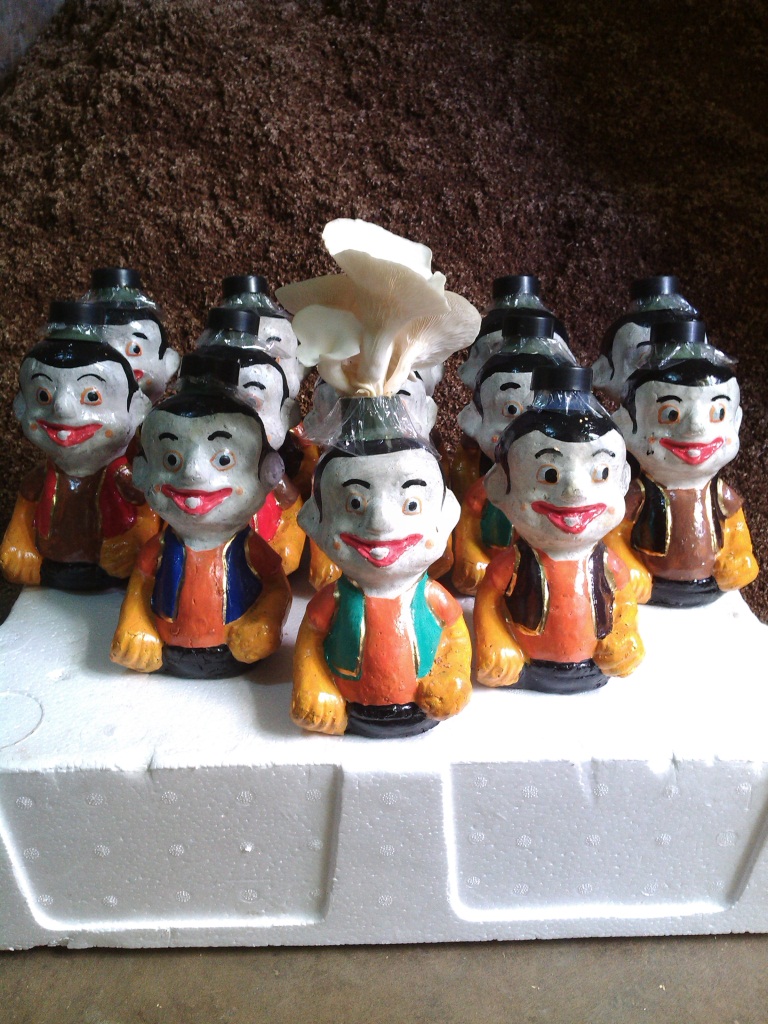 'Wayang' ciptaan mahasiswa Unbraw ini bisa ditanami jamur tiram