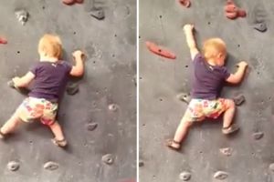 VIDEO: Balita panjat dinding layaknya profesional, top!