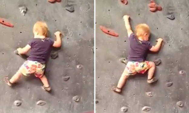 VIDEO: Balita panjat dinding layaknya profesional, top!
