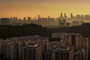 Singapura sukses ciptakan kebun 'di atas awan', keren!
