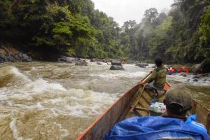Perjuangan Firdaus, 2 hari tempuh terjalnya sungai demi tugas mengajar