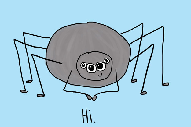 11 Cara ini ampuh melawan rasa takut pada laba-laba, kamu fobia nggak?