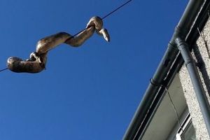 Piton mematikan bergelantungan di kabel permukiman, bikin heboh warga!