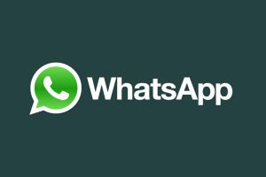 15 Tipe orang yang sangat sering ada di dalam grup WhatsApp kamu