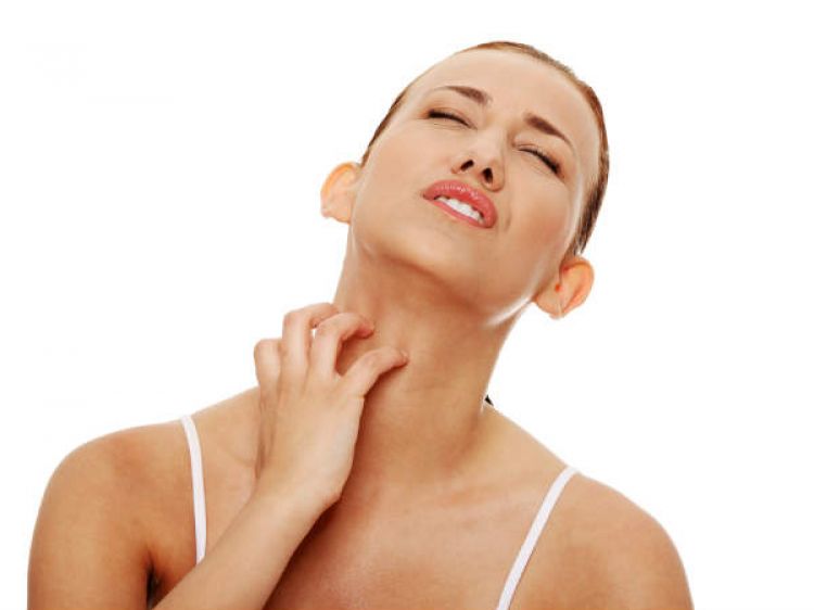 Arti Kata Alergi Dalam Kamus Istilah Kesehatan Terjemahan Kamus Lengkap Online Semua Bahasa