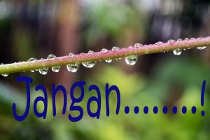 Jangan katakan 'tidak' untuk 13 hal ini